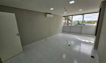 Imagem 5: PALHANO BUSINESS