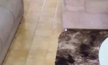 Imagem 6: 02 Casas Residenciais / CENTRO - Guarabira/PB