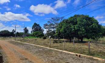 Imagem 2: LOTE 26 DE SETEMBRO