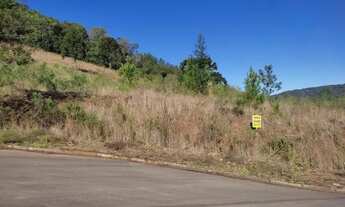 Imagem 5: Terreno para Venda em Nova Petrópolis, Linha Brasil