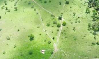 Imagem: Vende-se 10 Alq. Em Corumbá de Goiás