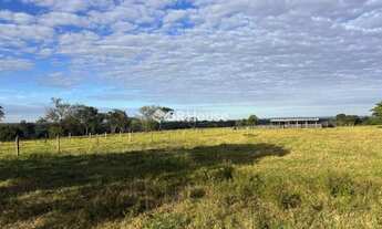 Imagem 3: Chapada dos Guimarães
