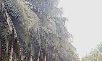 Imagem 2: Fazenda na PISTA da BR174, KM 57 com 10.360.000m2. Benfeitorias. 25 hectares de Areal. Doc