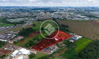 Imagem 2: Área proximidades da BR 277 - Ideal para uso comercial ou logístico - codigo: 105865