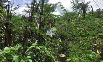 Imagem 5: Terreno Residencial para Venda Uruguai, Teresina