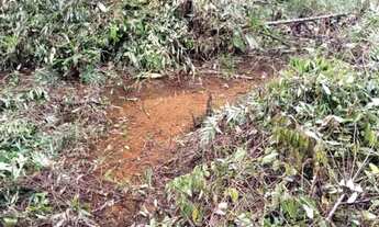 Imagem 7: 8 mil mts com.agua propria apenas 63mil reais