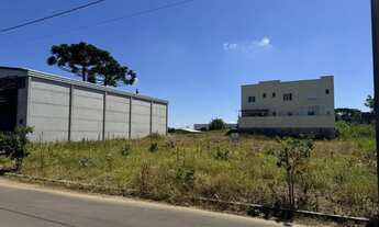 Imagem 4: CAXIAS DO SUL - Terreno Padrão - SÃO VIRGÍLIO