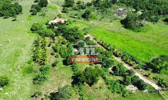 Imagem 6: Fazenda 323 alqueires (1.563 hectares) Colinas Do Sul - Go