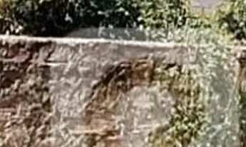 Imagem 2: TERRENO À VENDA 400M2 CONDOMÍNIO AMABA BARRA DA TIJUCA