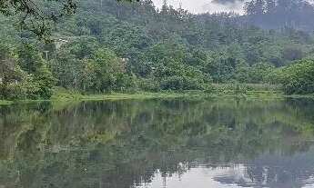 Imagem 4: Chácara 2.000m2 em São João Da Boa Vista/SP - 242m área construída