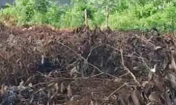 Imagem: TERRENO AM 070 - KM 19