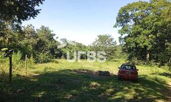 Imagem 3: Oportunidade de chacará com mata exuberante