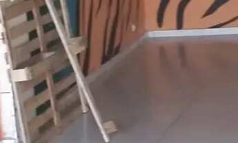 Imagem 2: Salão para aluguel com 45m² em Campinas