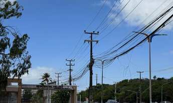 Imagem 2: COHAFUMA NOVO TEMPO II