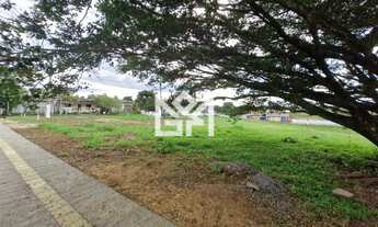 Imagem 7: Terreno amplo no bairro Santo Antônio com 270m² em Gravataí