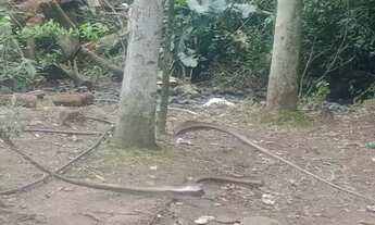 Imagem 5: Casa para vender