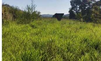 Imagem 4: Fazenda em frente ao Casarão (Cezarina