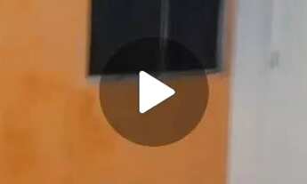 Imagem 5: Apartamento Bosque das Bromelias