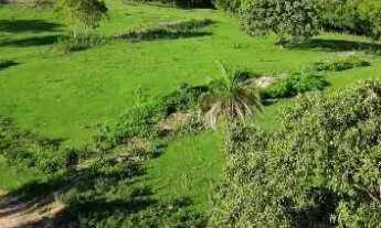 Imagem: Chácara ágio