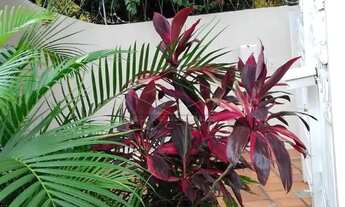 Imagem 3: Casa Padrão em Bauru