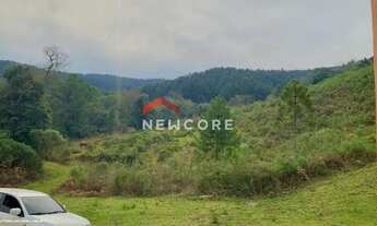 Imagem 6: Lote em Estrada Boa Esperança - Caconde - São Francisco de Paula/RS