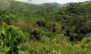 Imagem 6: Fazedinha de cacau