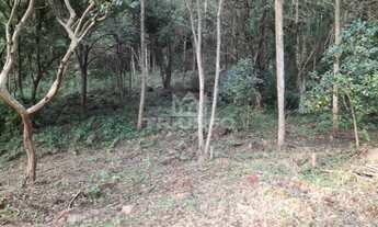 Imagem 5: Sítio de 2 hectares.!!