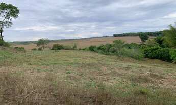 Imagem 7: Chacara terra 1,5 alqueire mucambinho