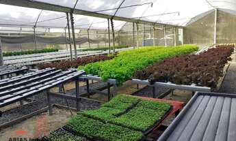 Imagem 2: Sítio 24.200 m² Hidroponia e Cultivo com 2 dormitórios à venda, 24200 m² por R$ 1.500.000