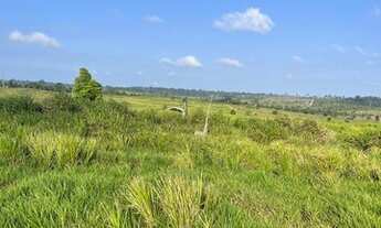 Imagem 4: Fazenda em Brasil Novo 310 alqueires