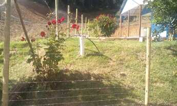 Imagem 4: Vendo Terreno em Melgaço Domingo Martins