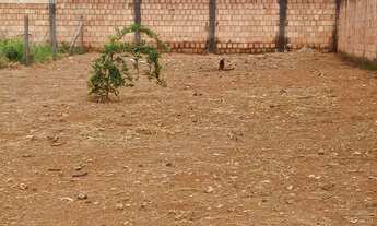 Imagem 4: Venda lote / Terreno Comercial