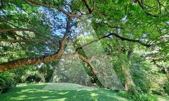 Imagem 5: SãO PAULO - Casa de Condomínio - Chácara Flora