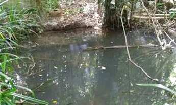 Imagem 7: ! Chácara São Cristóvão