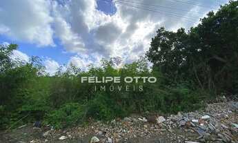 Imagem 4: TERRENO COMERCIAL em SANTA CRUZ CABRÁLIA - BA, Coroa Vermelha