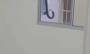 Imagem 6: Apartamento para Aluguel no conquista Torquato com 2 quartos