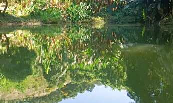 Imagem 7: Vendo ou troco Sitio em domingos martins