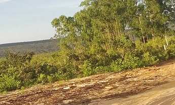 Imagem 3: Gleba Monjolo 10 Hectares