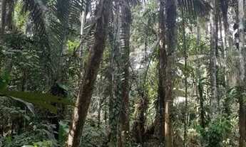 Imagem 4: Um ótimo terreno medindo 30 m x 100 m (3000 m²)