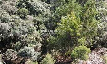 Imagem 7: Belo Lote de Terreno à Venda na Região de Descansópolis - Campos do Jordão/SP