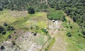 Imagem: Sitio a venda com 99 hectares com um riacho