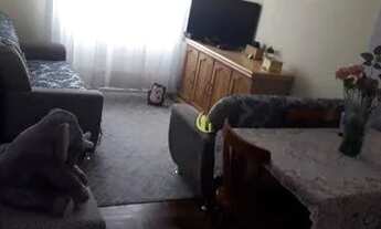 Imagem 2: APARTAMENTO MOBILIADO