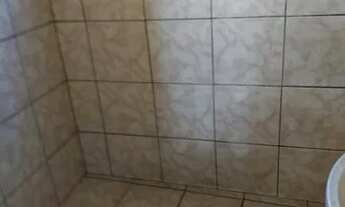 Imagem 3: Kit Net em cosmos