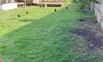 Imagem 5: Terreno Terreno / lote com venda por R$60.000