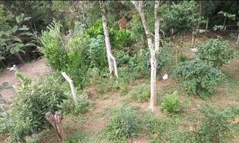 Imagem 4: Chácara Chácara com venda por R$230.000