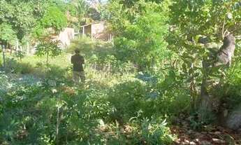 Imagem 3: Terreno na areia branca, mosqueiro