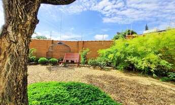Imagem 6: Casa alto padrão bairro nobre com salas comerciais