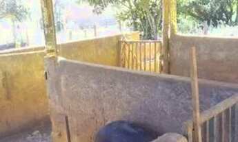 Imagem 3: Chácara em Anápolis