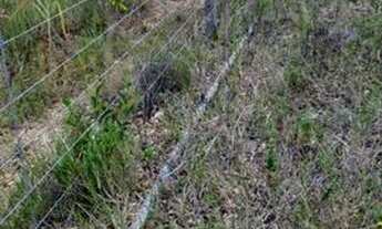 Imagem 6: ! Chácara São Cristóvão