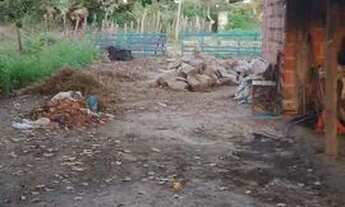 Imagem 6: Sítio a venda Chácara com venda por R$55.000